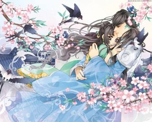 大象影视传媒
